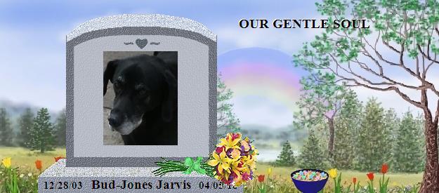 Bud-Jones Jarvis's Rainbow Bridge Pet Loss Memorial Residency Image