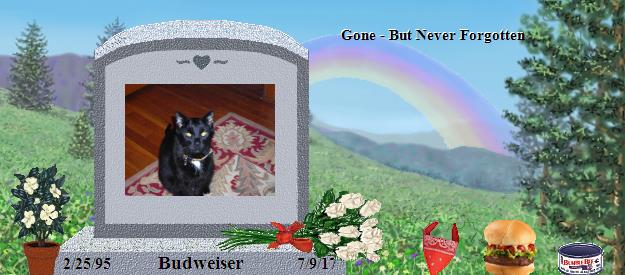 Budweiser's Rainbow Bridge Pet Loss Memorial Residency Image