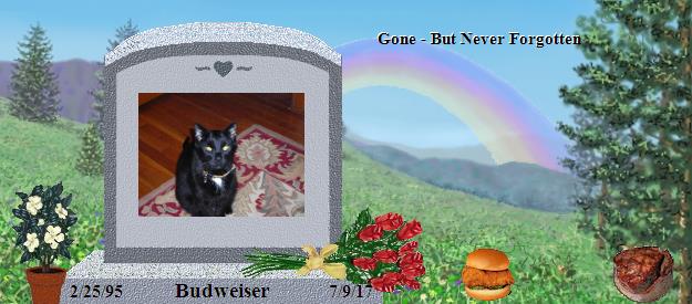 Budweiser's Rainbow Bridge Pet Loss Memorial Residency Image