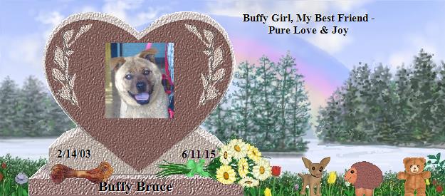 Buffy Bruce's Rainbow Bridge Pet Loss Memorial Residency Image