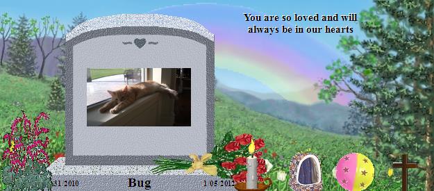 Bug's Rainbow Bridge Pet Loss Memorial Residency Image
