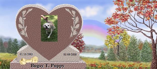Bugsy T. Puppy's Rainbow Bridge Pet Loss Memorial Residency Image