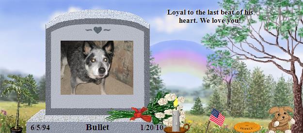 Bullet's Rainbow Bridge Pet Loss Memorial Residency Image