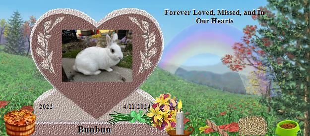 Bunbun's Rainbow Bridge Pet Loss Memorial Residency Image