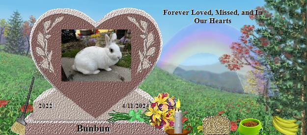 Bunbun's Rainbow Bridge Pet Loss Memorial Residency Image