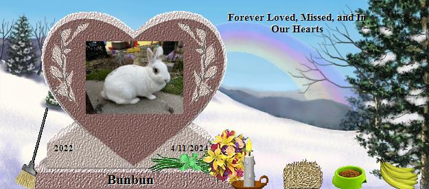 Bunbun's Rainbow Bridge Pet Loss Memorial Residency Image