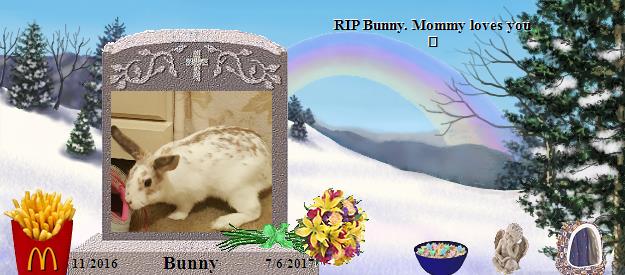 Bunny's Rainbow Bridge Pet Loss Memorial Residency Image