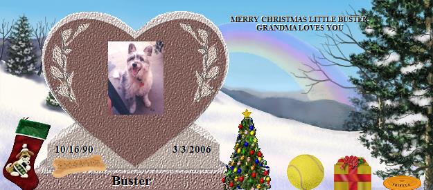 Buster's Rainbow Bridge Pet Loss Memorial Residency Image