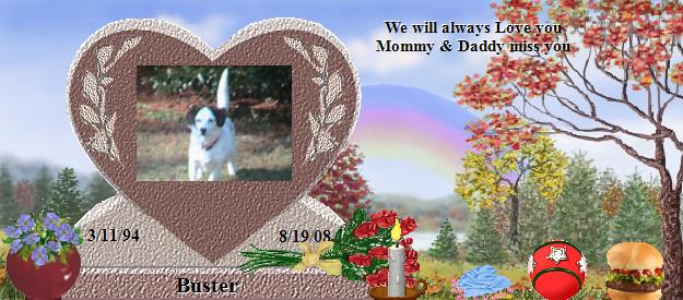 Buster's Rainbow Bridge Pet Loss Memorial Residency Image