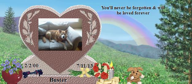 Buster's Rainbow Bridge Pet Loss Memorial Residency Image