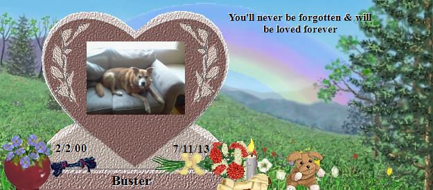 Buster's Rainbow Bridge Pet Loss Memorial Residency Image