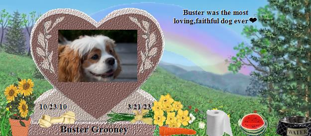 Buster Grooney's Rainbow Bridge Pet Loss Memorial Residency Image