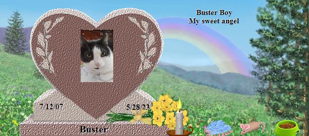 Buster's Rainbow Bridge Pet Loss Memorial Residency Image