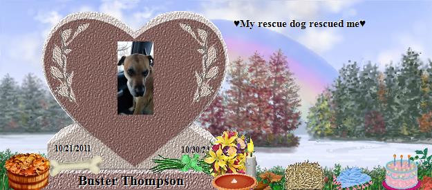 Buster Thompson's Rainbow Bridge Pet Loss Memorial Residency Image