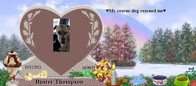 Buster Thompson's Rainbow Bridge Pet Loss Memorial Residency Image