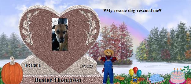 Buster Thompson's Rainbow Bridge Pet Loss Memorial Residency Image