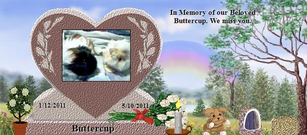 Buttercup's Rainbow Bridge Pet Loss Memorial Residency Image