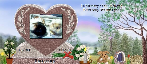 Buttercup's Rainbow Bridge Pet Loss Memorial Residency Image