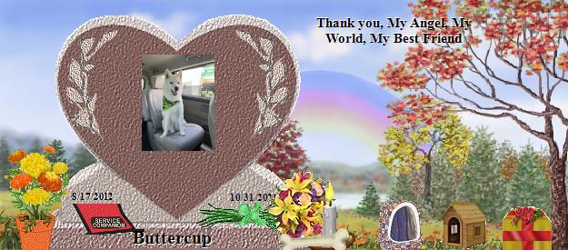 Buttercup's Rainbow Bridge Pet Loss Memorial Residency Image