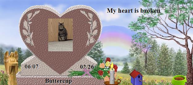 Buttercup's Rainbow Bridge Pet Loss Memorial Residency Image
