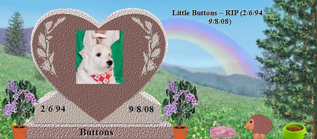 Buttons's Rainbow Bridge Pet Loss Memorial Residency Image