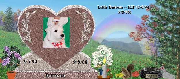 Buttons's Rainbow Bridge Pet Loss Memorial Residency Image