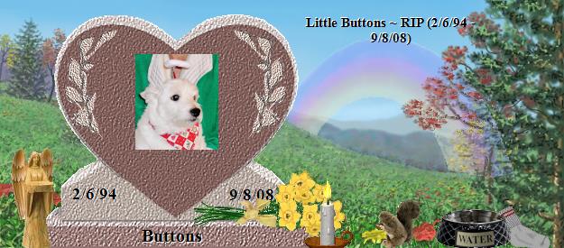 Buttons's Rainbow Bridge Pet Loss Memorial Residency Image