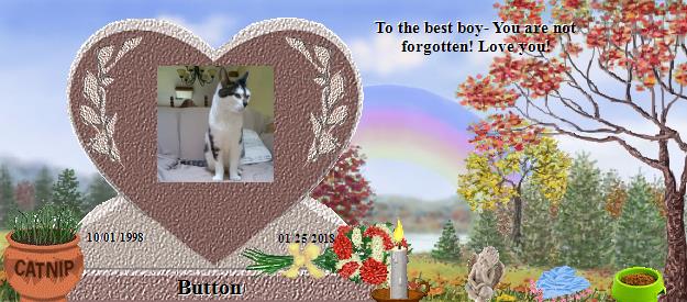 Button's Rainbow Bridge Pet Loss Memorial Residency Image