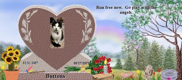 Buttons's Rainbow Bridge Pet Loss Memorial Residency Image