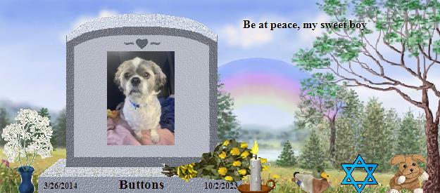 Buttons's Rainbow Bridge Pet Loss Memorial Residency Image