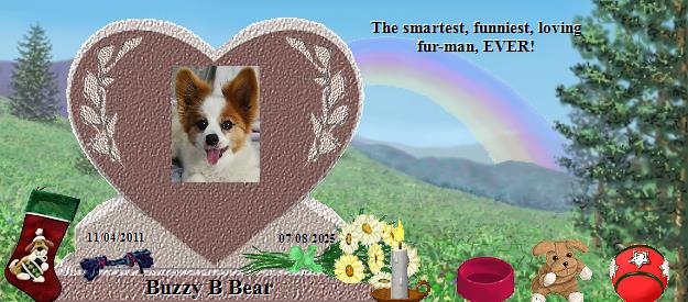 Buzzy B Bear's Rainbow Bridge Pet Loss Memorial Residency Image