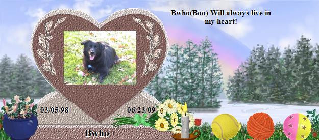 Bwho's Rainbow Bridge Pet Loss Memorial Residency Image