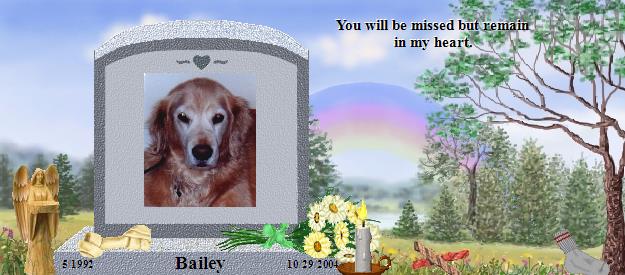 Bailey's Rainbow Bridge Pet Loss Memorial Residency Image