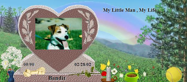 Bandit's Rainbow Bridge Pet Loss Memorial Residency Image