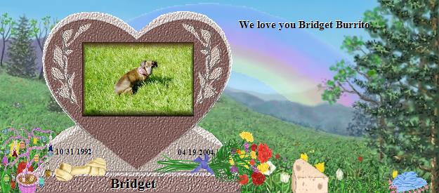 Bridget's Rainbow Bridge Pet Loss Memorial Residency Image