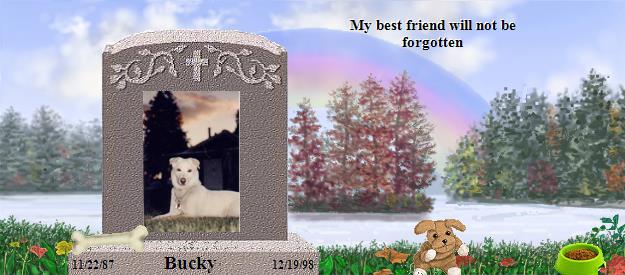 Bucky's Rainbow Bridge Pet Loss Memorial Residency Image