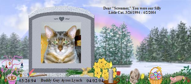 Buddy Guy Ayres Lynch's Rainbow Bridge Pet Loss Memorial Residency Image