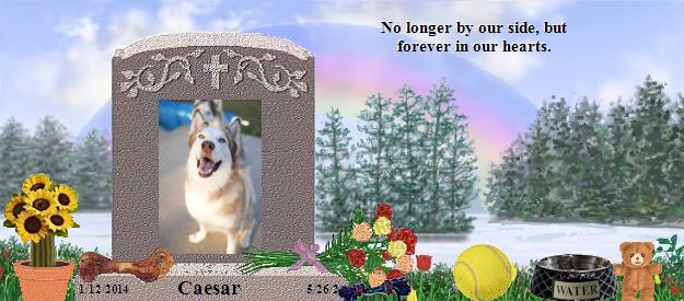 Caesar's Rainbow Bridge Pet Loss Memorial Residency Image