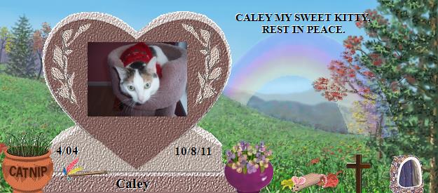 Caley's Rainbow Bridge Pet Loss Memorial Residency Image