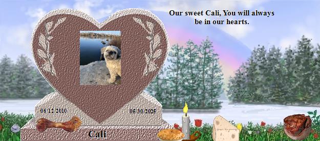 Cali's Rainbow Bridge Pet Loss Memorial Residency Image