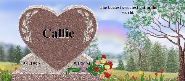 Callie's Rainbow Bridge Pet Loss Memorial Residency Image