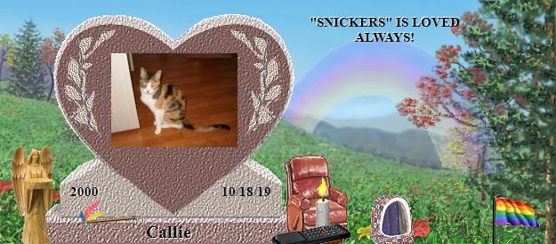 Callie's Rainbow Bridge Pet Loss Memorial Residency Image