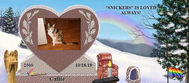 Callie's Rainbow Bridge Pet Loss Memorial Residency Image