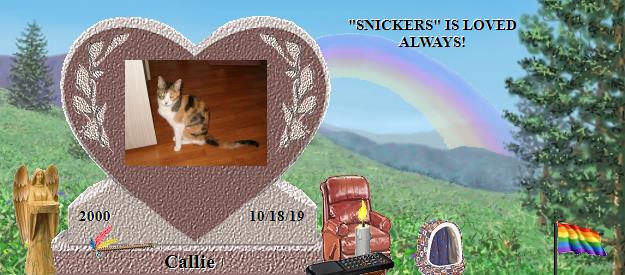 Callie's Rainbow Bridge Pet Loss Memorial Residency Image