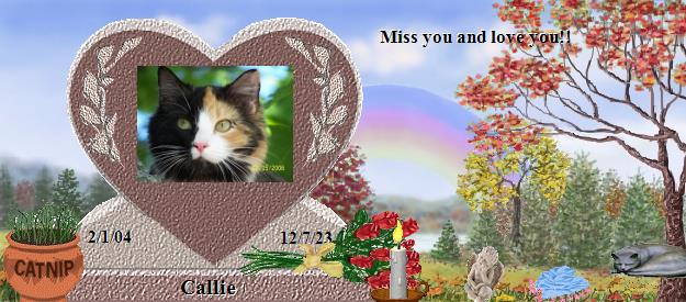 Callie's Rainbow Bridge Pet Loss Memorial Residency Image