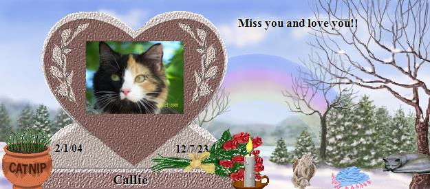 Callie's Rainbow Bridge Pet Loss Memorial Residency Image