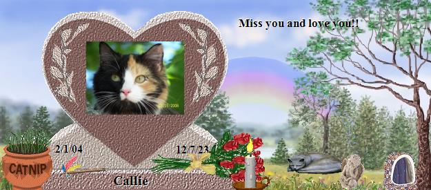 Callie's Rainbow Bridge Pet Loss Memorial Residency Image