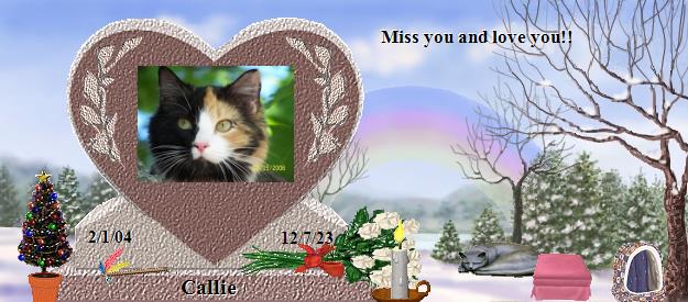 Callie's Rainbow Bridge Pet Loss Memorial Residency Image
