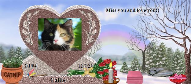 Callie's Rainbow Bridge Pet Loss Memorial Residency Image
