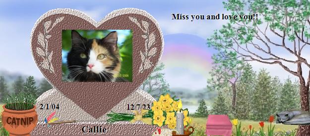 Callie's Rainbow Bridge Pet Loss Memorial Residency Image